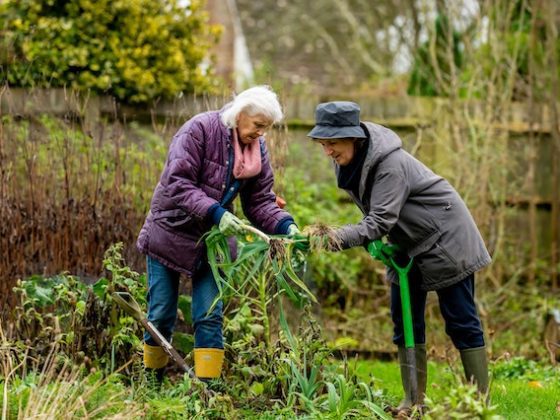 two older women working in a garden together